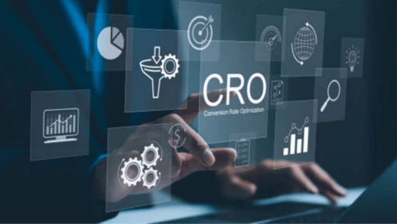 Website Designing & Development