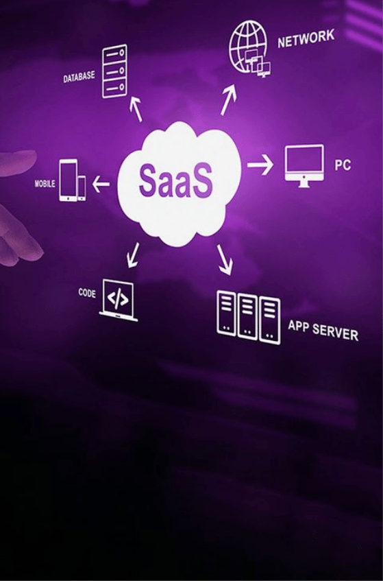 Search Engine Optimization